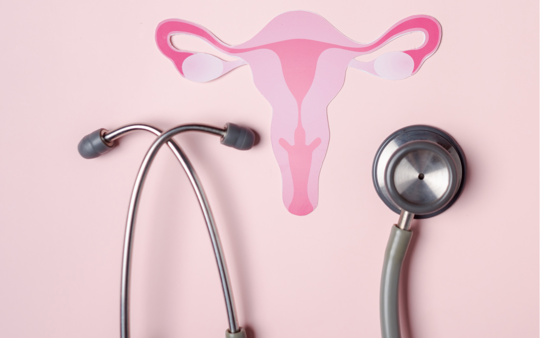 Doorstuderen tot overgangsconsulent: “Je wordt een steunpilaar voor vrouwen in de overgang”